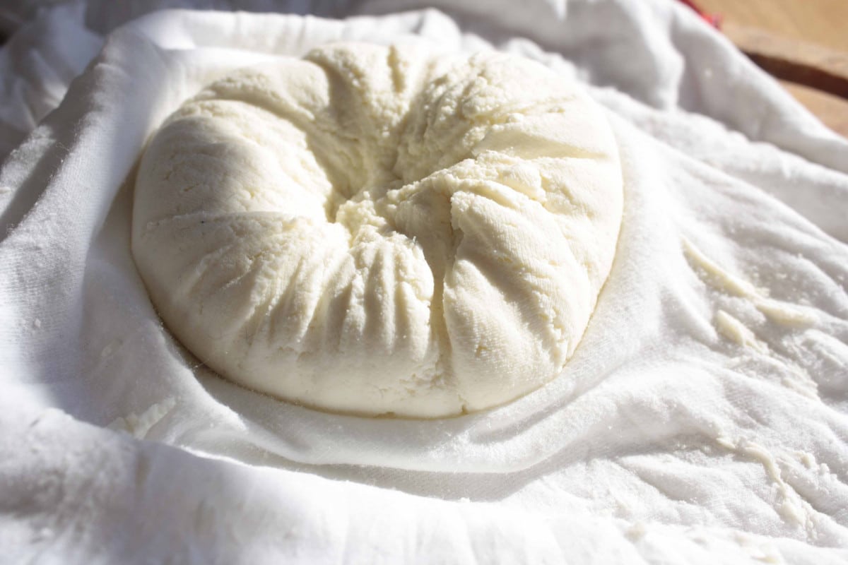 Jakmile ho jednou ochutnáte, už nikdy nebudete kupovat tvaroh. Domácí je mnohem chutnější.