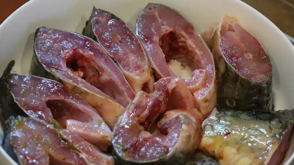 Vaši sousedé budou také rádi, když vyzkouší tento trik. Způsob, který odstraní nepříjemný zápach kapra .