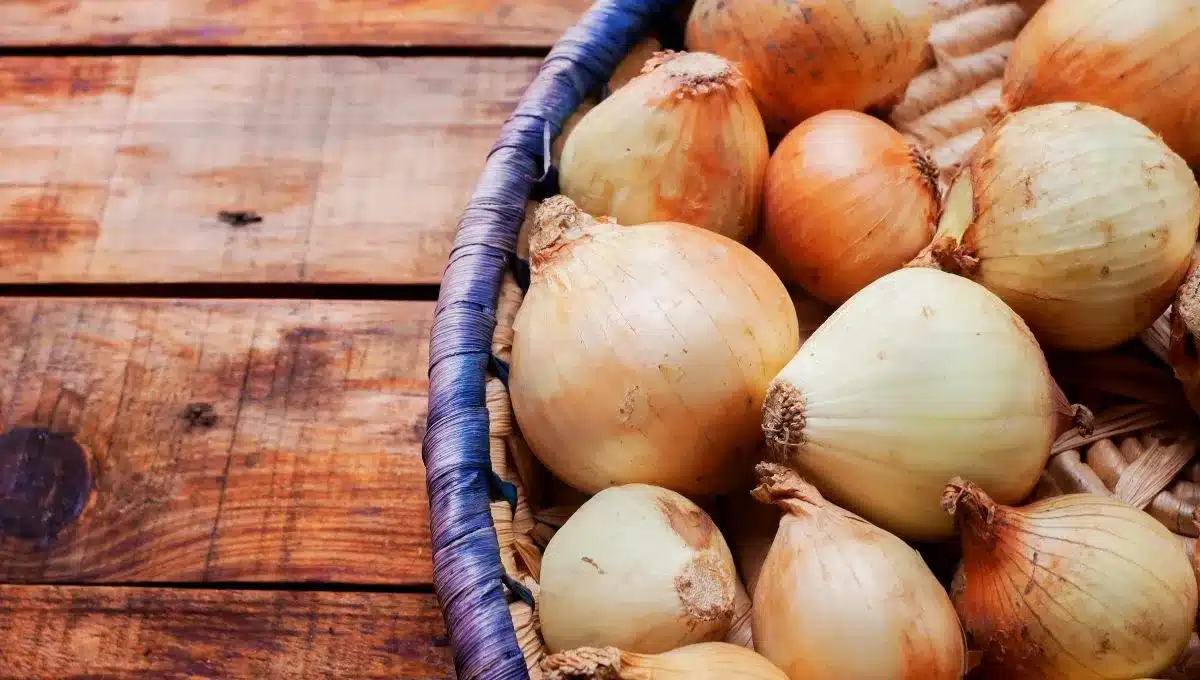 Jak správně skladovat cibuli doma, aby nevyschla a nezkazila se.