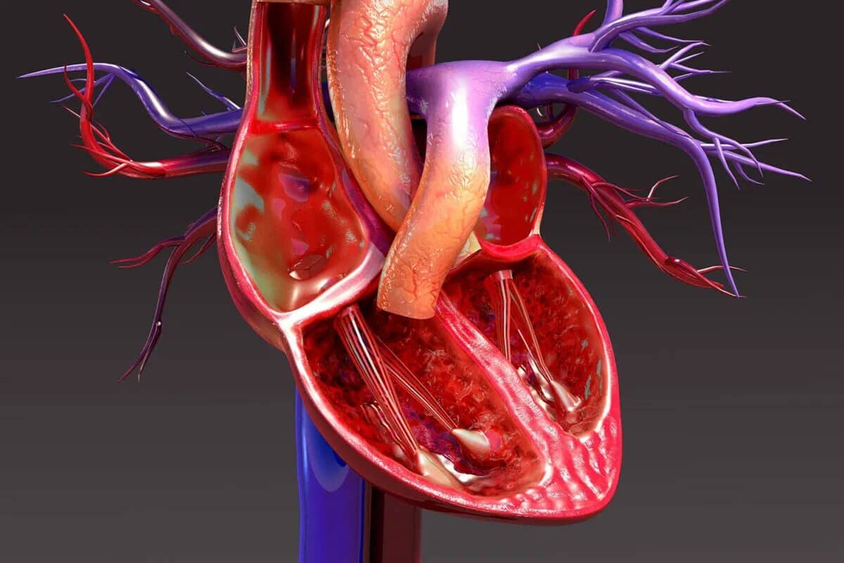 Úloha banánů pro zdraví srdce