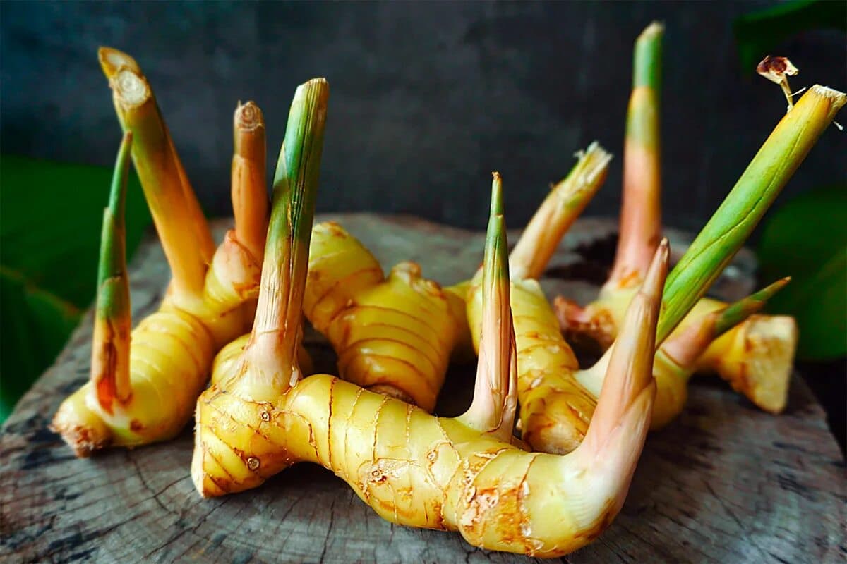 Není to zázvor ani kurkuma, i když se jim vzhledem podobají. Regulují hladinu cukru a cholesterolu v krvi a pomáhají spalovat tuk v oblasti břicha.