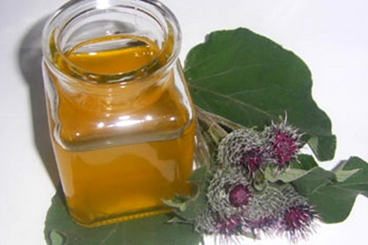 Nápoje podobné bylinné kávě: proč pít kávu z pampelišky, čekanky nebo lopuchu?