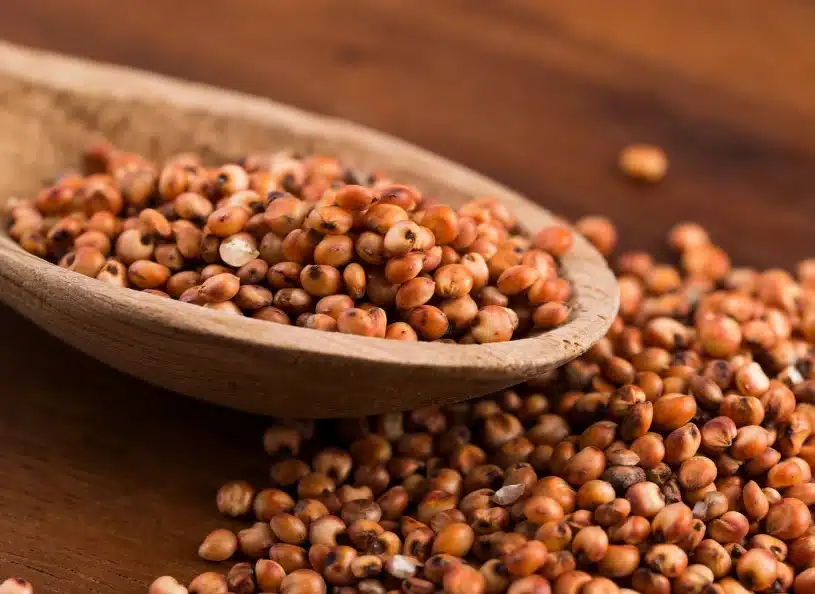 Nejlepší alternativa k rýži a kukuřici. Vhodné pro diabetiky, neobsahuje lepek a nedráždí střeva.