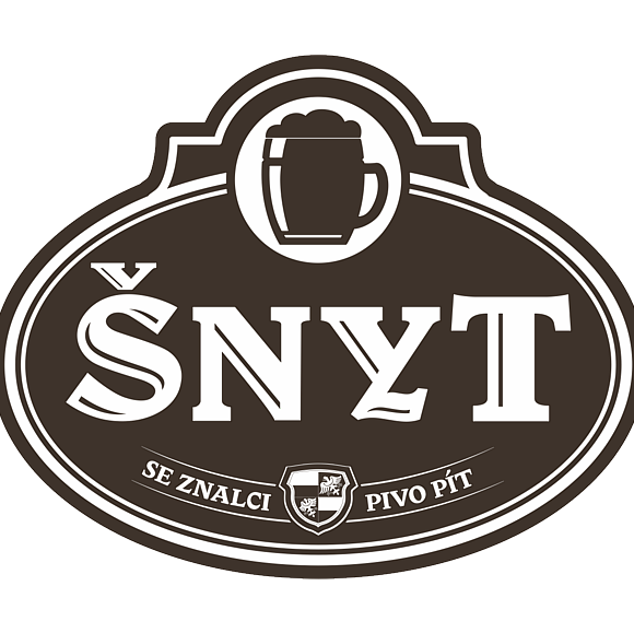 snyt-liberec.cz